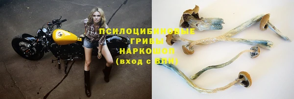 не бодяженный Армянск