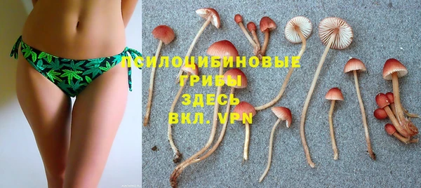 гидра Алексеевка