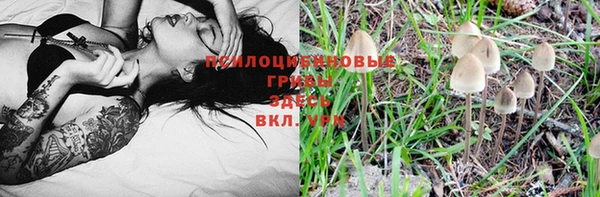 гидра Алексеевка