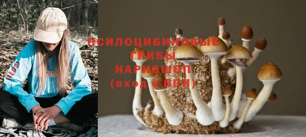 гидра Алексеевка