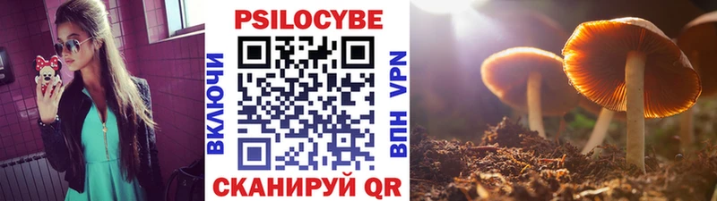 Галлюциногенные грибы Magic Shrooms Венёв
